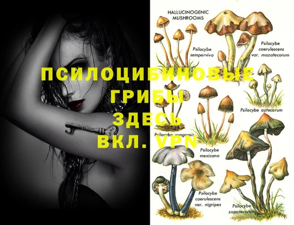 синтетический гашиш Алексин