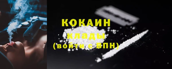 прущий лед Алзамай